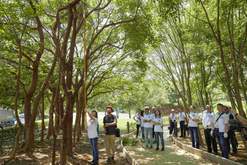 藝師教導大家認識樹木、檢查樹的健康狀況，學習修枝及碎枝覆土